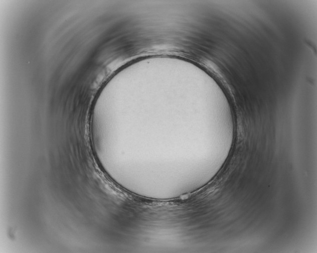 X0000101161336200807251102