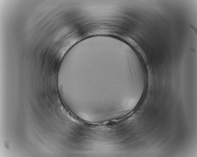X0000101161337200807251102