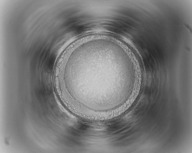 X0000101161338200807251102