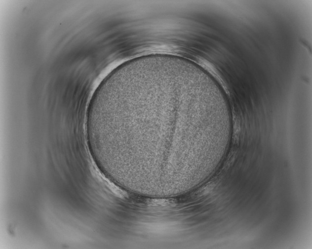 X0000101161339200807251102