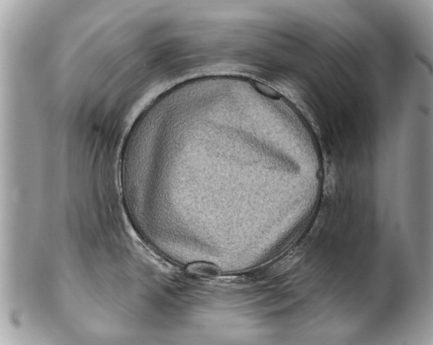 X0000101161342200807251102
