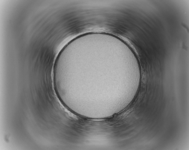 X0000101161343200807251102