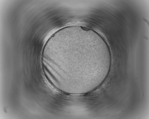 X0000101161344200807251102