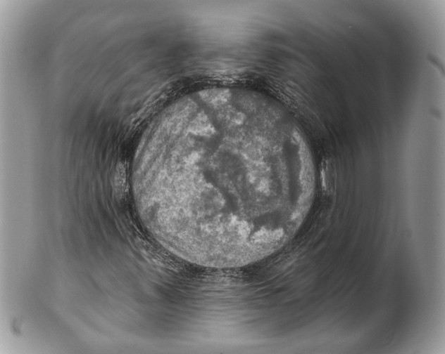 X0000101161347200807251101