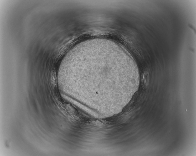 X0000101161348200807251101