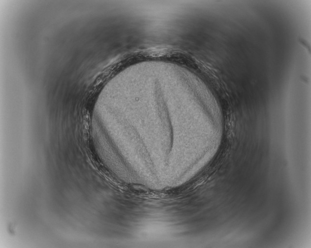 X0000101161349200807251101