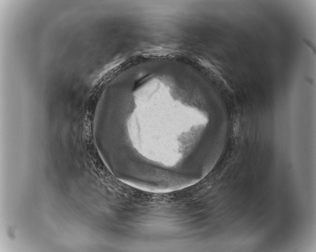 X0000101161350200807251101
