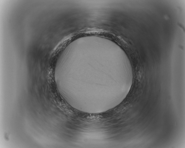 X0000101161351200807251101