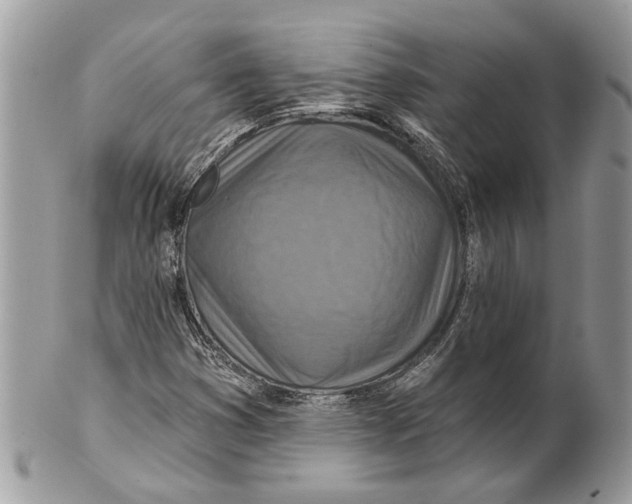 X0000101161353200807251101