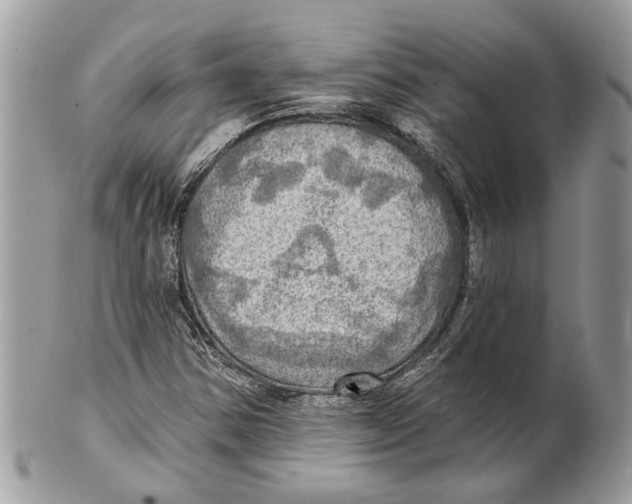 X0000101161354200807251101