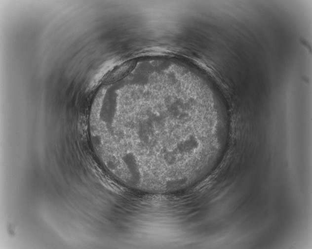 X0000101161355200807251101