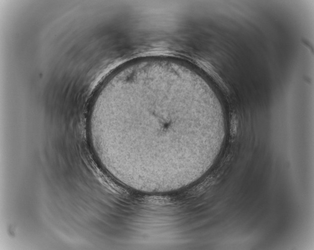 X0000101161356200807251101