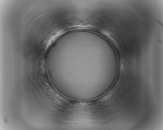 X0000101161357200807251101