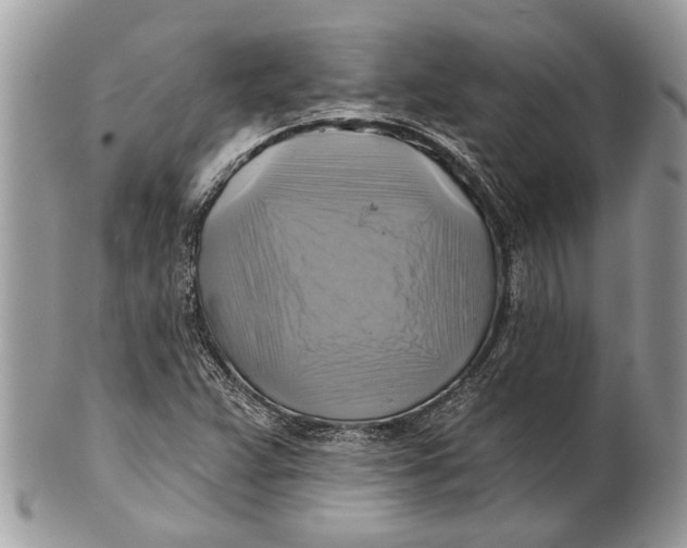 X0000101161359200807251101