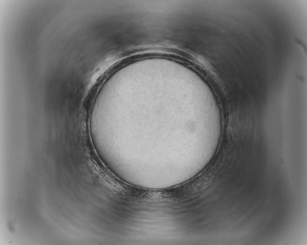 X0000101161360200807251101