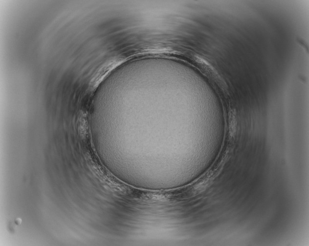 X0000101161361200807251101
