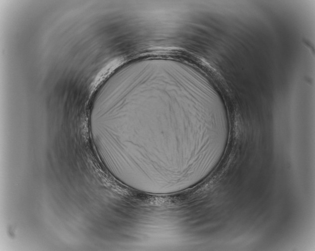 X0000101161362200807251101
