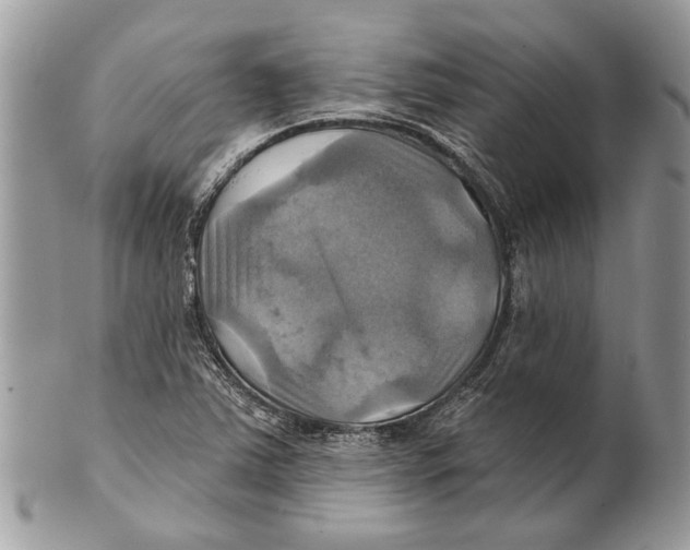 X0000101161363200807251101