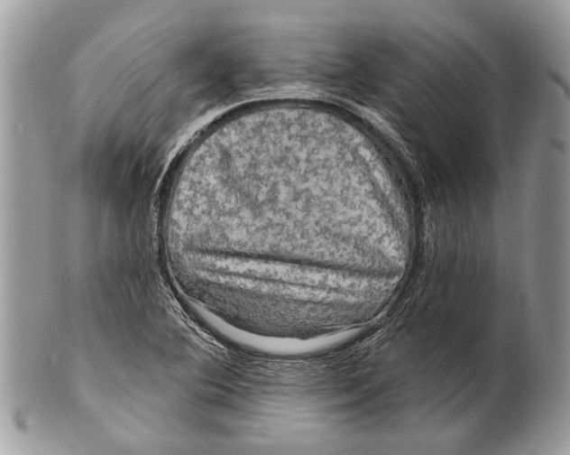 X0000101161364200807251101