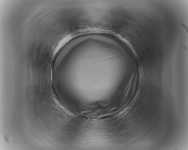 X0000101161365200807251101