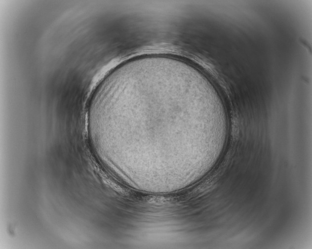 X0000101161366200807251101