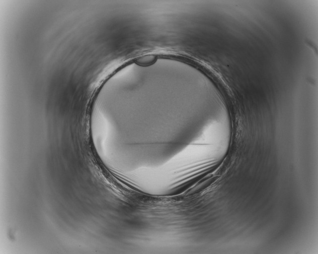 X0000101161367200807251101