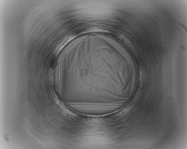 X0000101161369200807251101