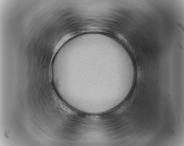 X0000101161370200807251101