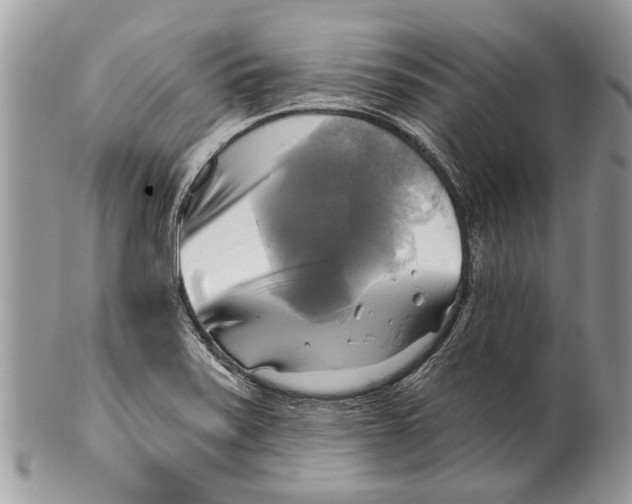X0000101161371200807251101