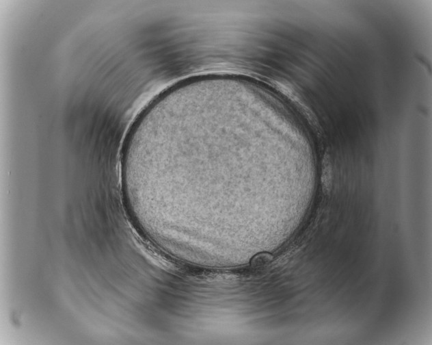 X0000101161372200807251101