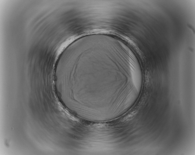 X0000101161373200807251101