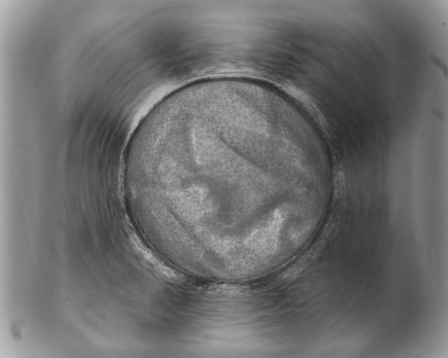 X0000101161374200807251101