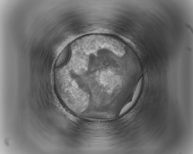 X0000101161375200807251101