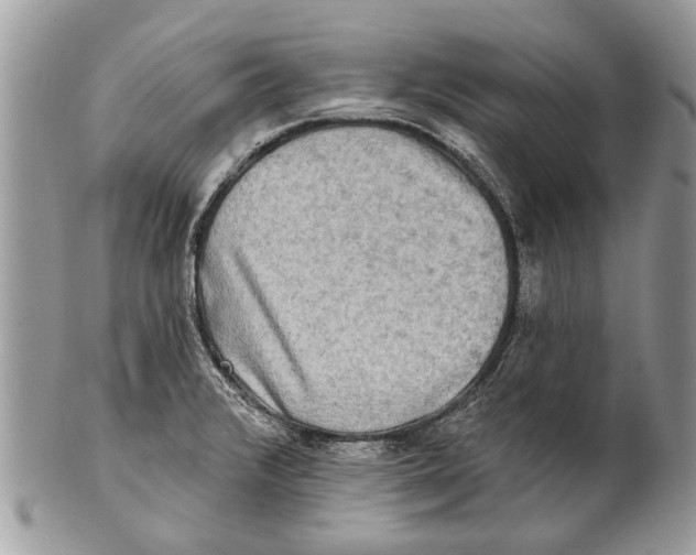 X0000101161376200807251101