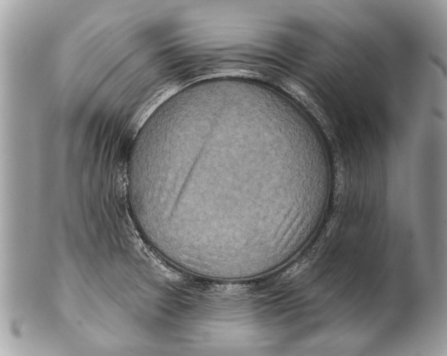 X0000101161377200807251101
