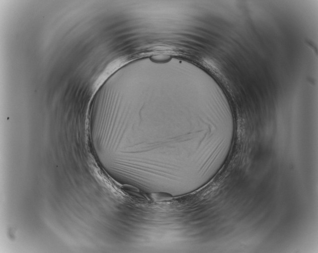 X0000101161378200807251101