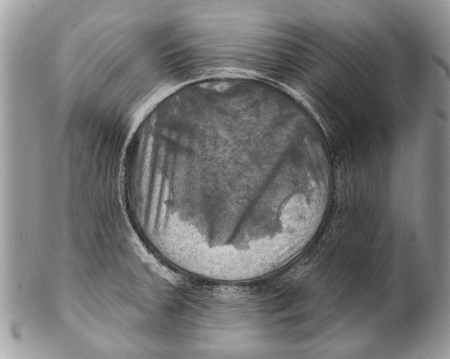 X0000101161379200807251101