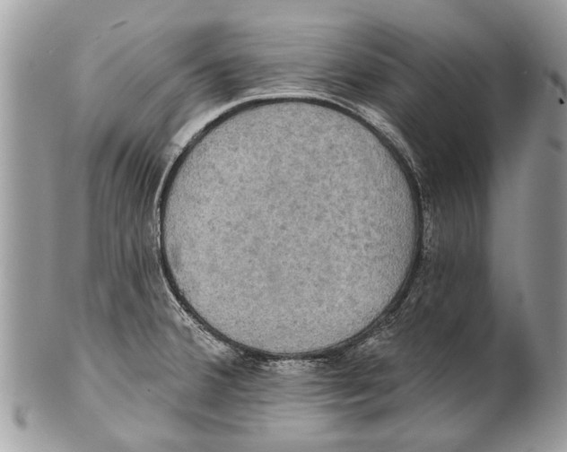 X0000101161380200807251101