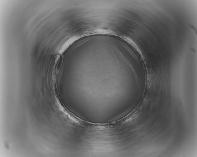 X0000101161381200807251101