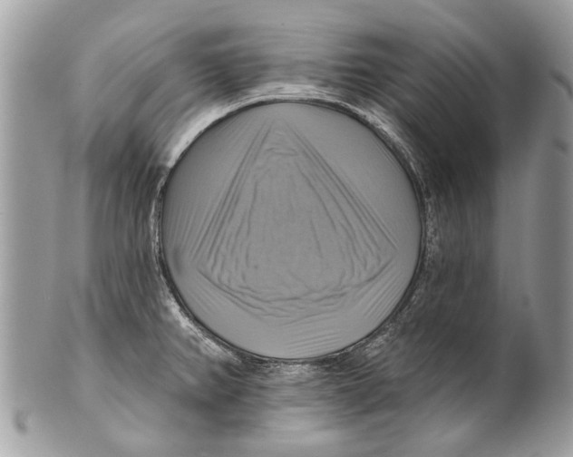 X0000101161382200807251101