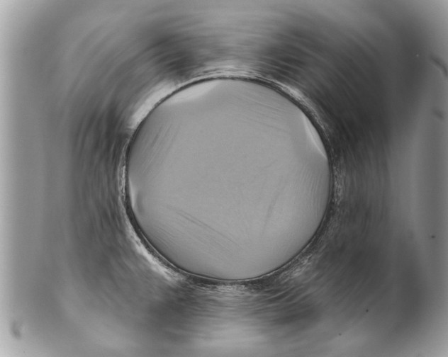 X0000101161383200807251101