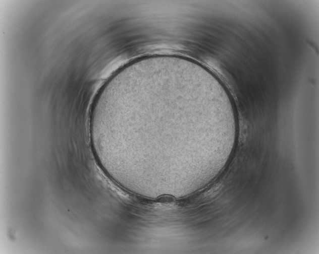 X0000101161384200807251101
