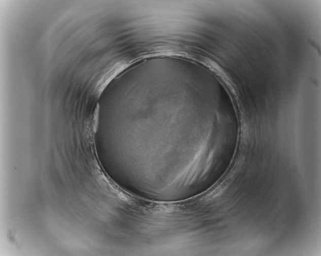 X0000101161385200807251101