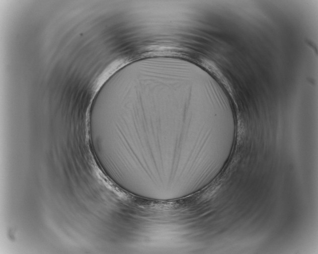 X0000101161386200807251101