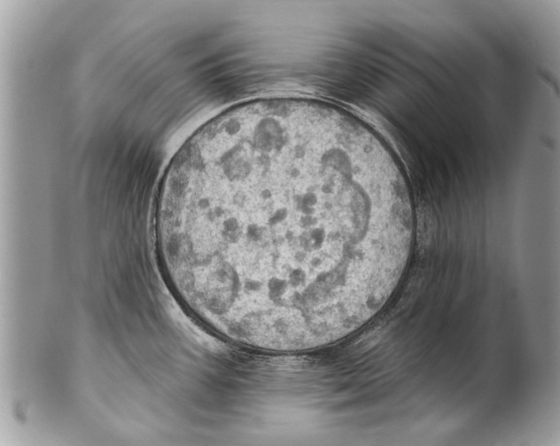 X0000101161387200807251101