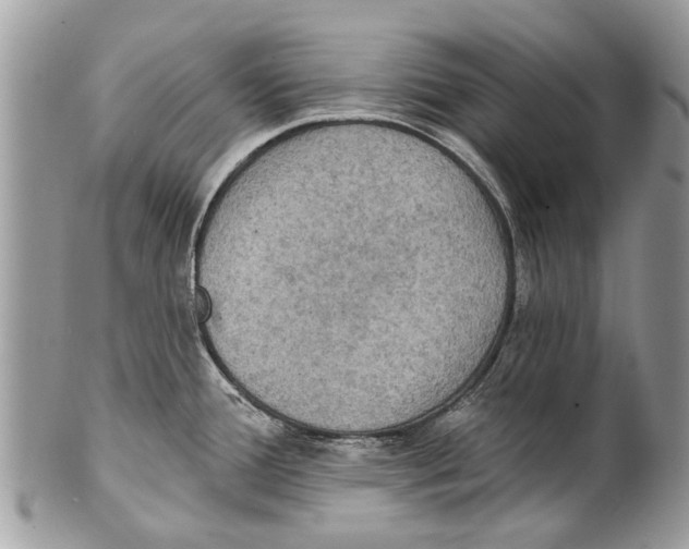 X0000101161388200807251101
