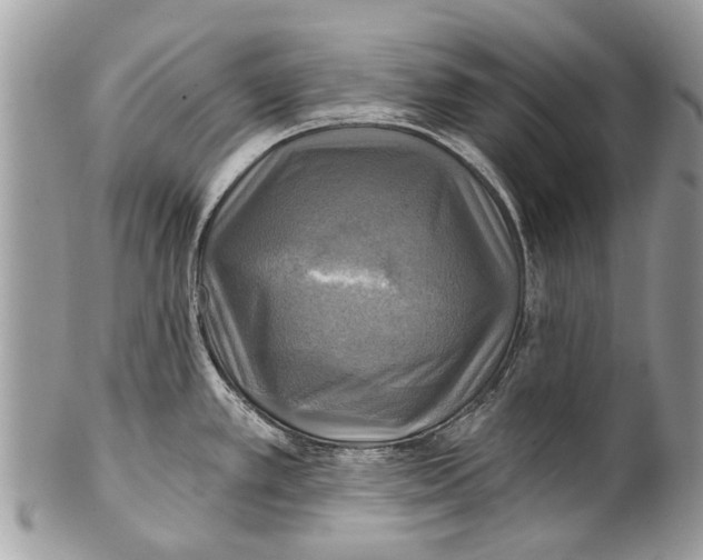 X0000101161389200807251101