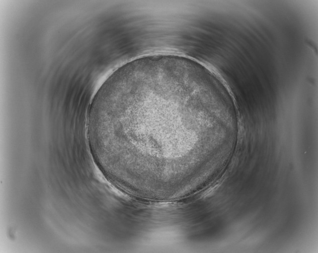 X0000101161390200807251101