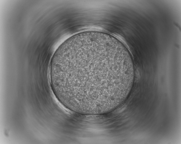 X0000101161391200807251101