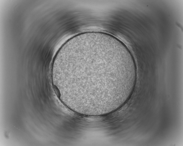 X0000101161392200807251101